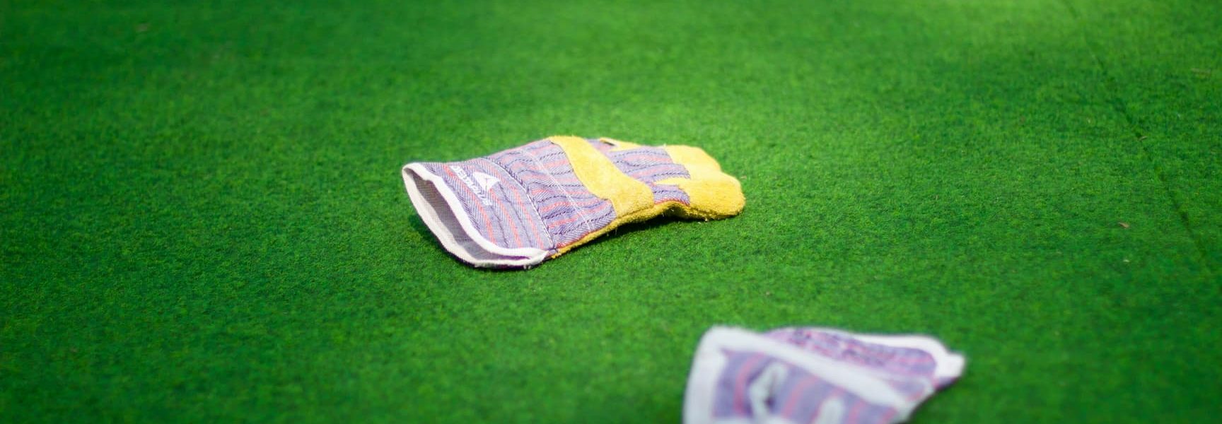 Professions for Successfull Bettors