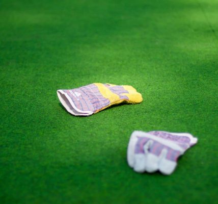 Professions for Successfull Bettors