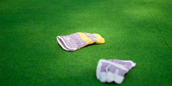 Professions for Successfull Bettors